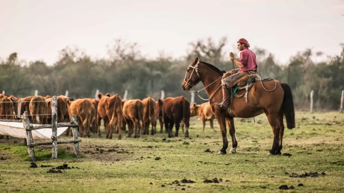 Marzo llega con un aumento del 3% para la prestación por desempleo: A partir de este mes, un peón rural sin trabajo cobrará como máximo 367 mil pesos – Bichos de Campo