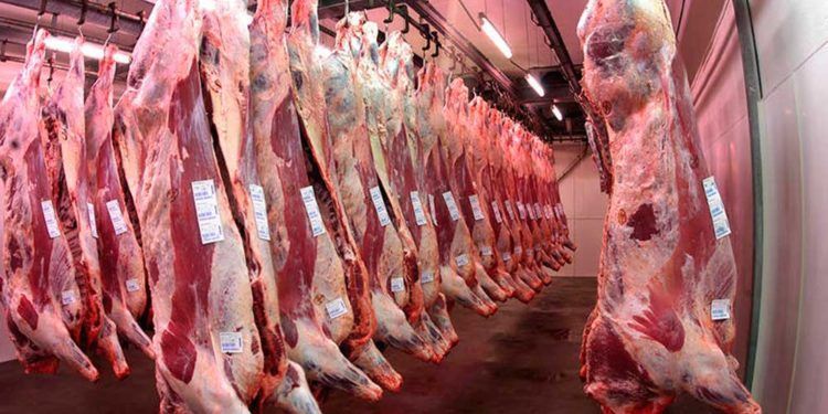 Vuelan las exportaciones de carne, que ya superan el 20% de la oferta