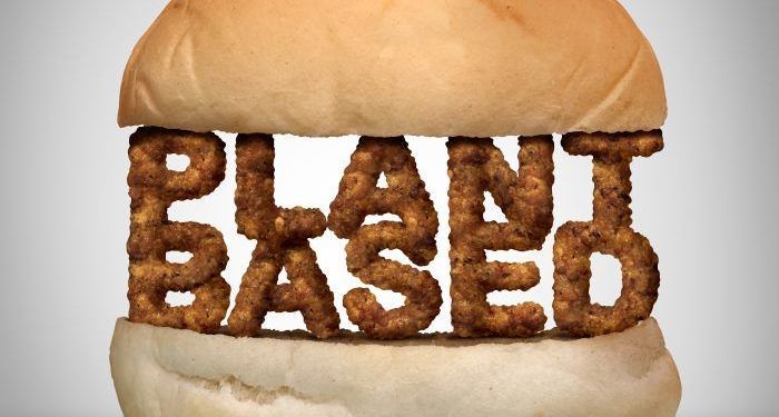 Plant based burger as fake meat or vegan hamburger representing a vegetarian protien in a 3D illustration style.