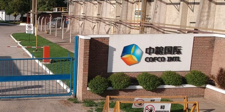 ¿Qué es Cofco? La empresa china que en solo cinco años se convirtió en la mayor agroexportadora de la Argentina