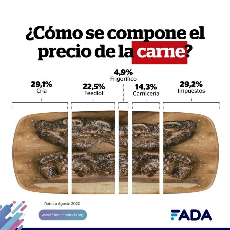 Informe FADA: En la carne vacuna, el Estado se lleva en impuestos más de lo que corresponde al criador por aportar el ternero