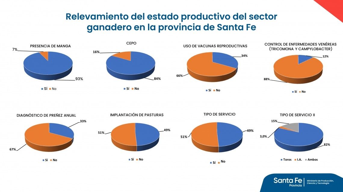 La grieta productiva: Un relevamiento detectó que apenas un tercio de las empresas ganaderas santafesinas utiliza métodos de diagnóstico de preñez