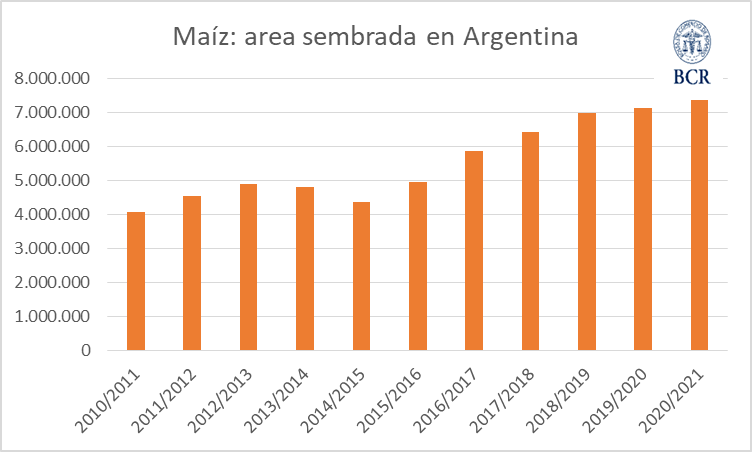 Aparecieron más hectáreas de maíz, hay récord de siembra, y por segundo año consecutivo ese grano forrajero destronará a la reina soja
