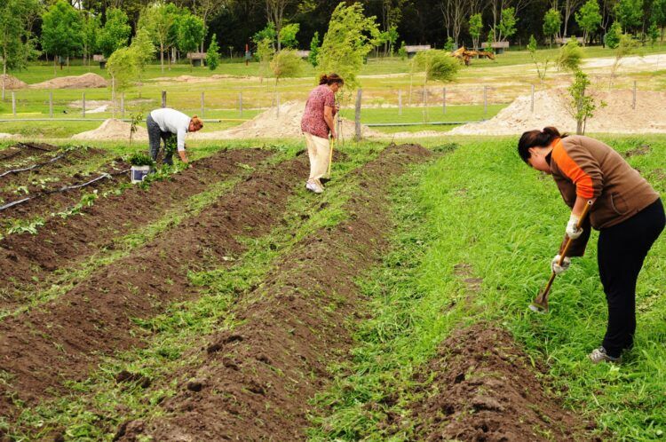 ????????????????????????????????????