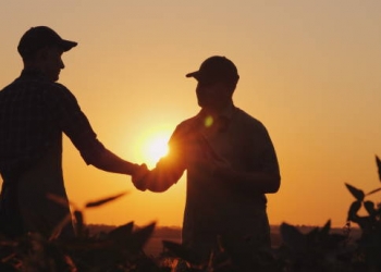 Two farmers talk on the field, then shake hands. Use a tablet. 4k video