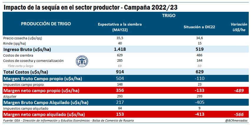 Producción de trigo