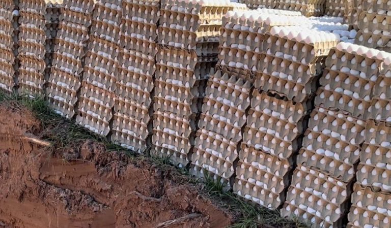 Nadie Se Hace Cargo De Los Huevos Rotos Y Senasa No Puede Explicar 