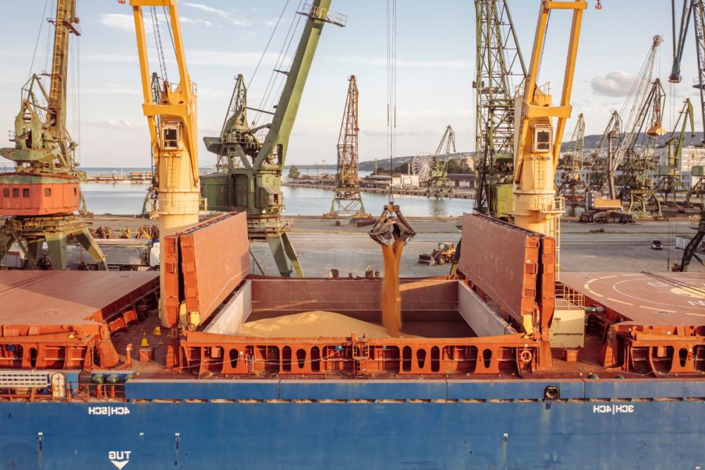 Biji-bijian merasakan dampak dari pemboman baru Rusia di pelabuhan biji-bijian Ukraina »Bichos de Campo