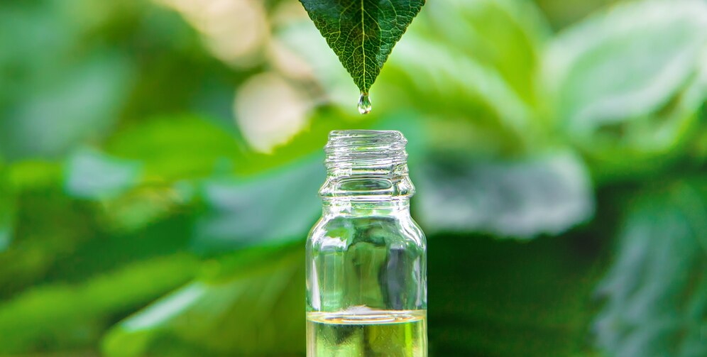 Cómo usar el aceite de neem para cuidar las plantas del jardín