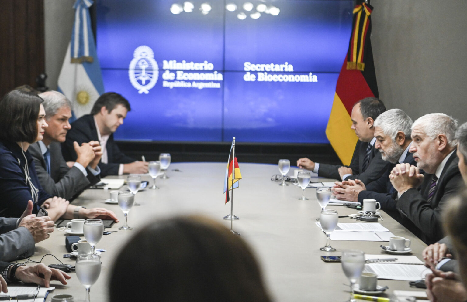 Vilella prometi&oacute; a una alta funcionaria de Alemania que la Argentina cumplir&aacute; con la implacable exigencia europea para frenar la deforestaci&oacute;n