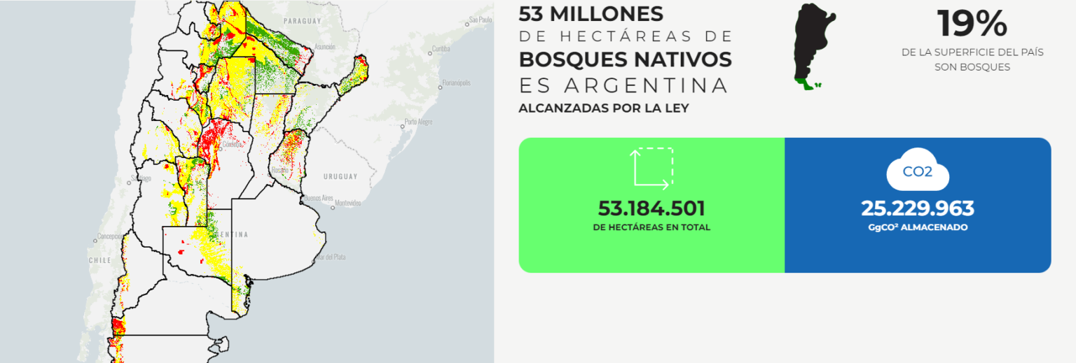 La Ley de Bosques tiene quien la explique: La Fundaci&oacute;n Vida Silvestre lanz&oacute; una web con fines educativos