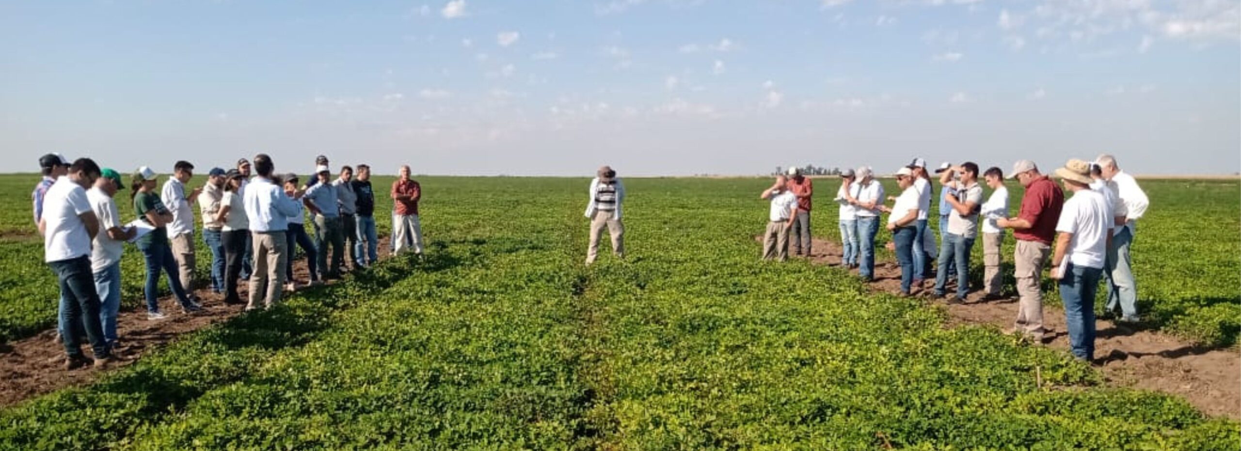 xr:d:DAFfPBp741g:12,j:2666216372,t:23041315