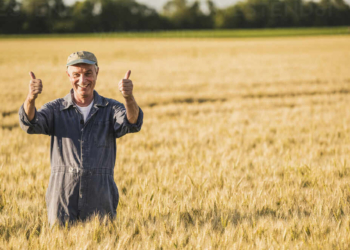 Happy farmer with thumbs up gesture standing in field