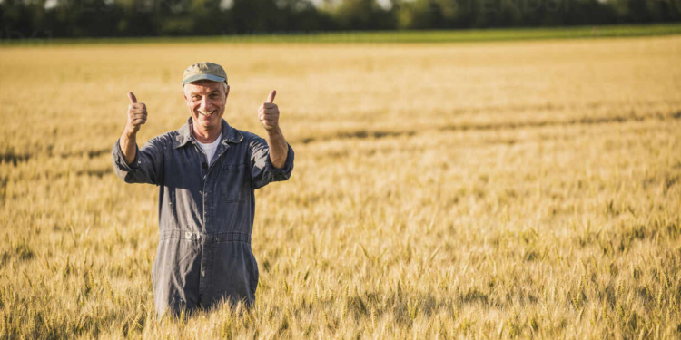 Happy farmer with thumbs up gesture standing in field