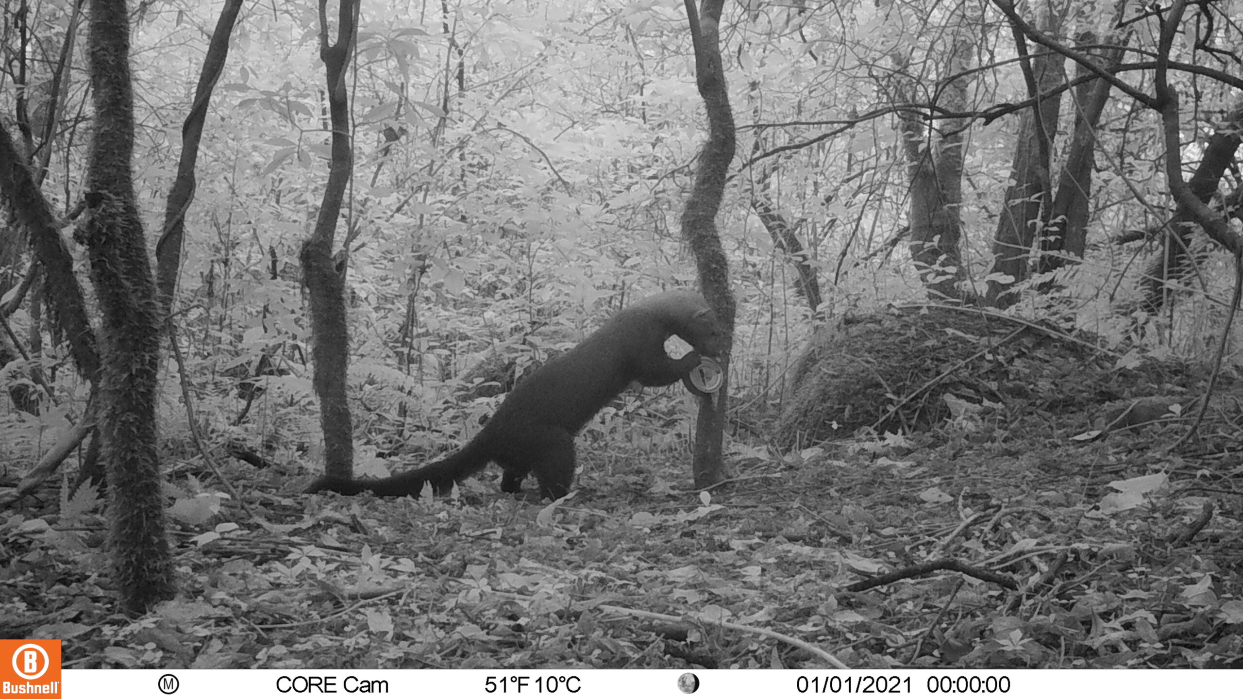 M2L12E108A0B223-E0A0B0-E0A0B0-E0A0B0-E0A0B0-C108,0