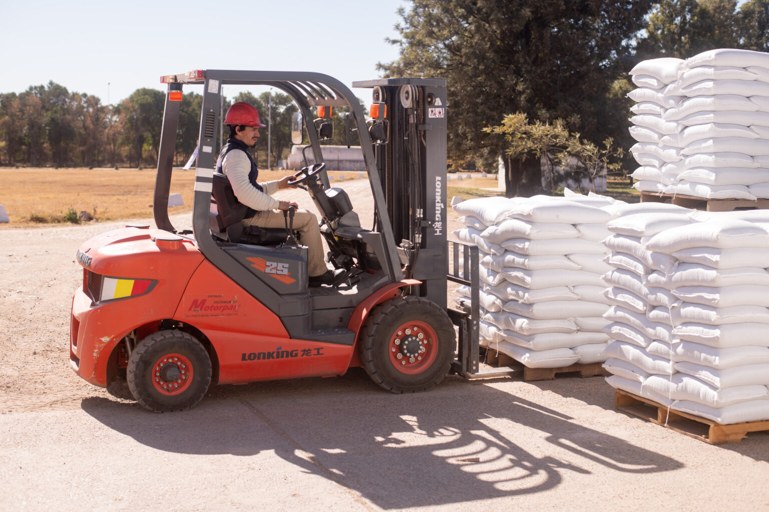 Frente a la caída del poroto negro, el poroto mungo se posiciona como la gran oportunidad de exportación