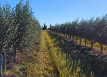 xr:d:DAFrmi2ZCqc:2,j:4498369912677722825,t:23081510