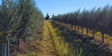 xr:d:DAFrmi2ZCqc:2,j:4498369912677722825,t:23081510