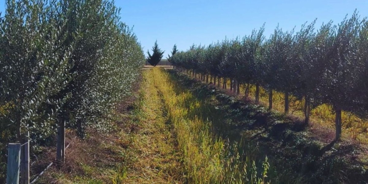 xr:d:DAFrmi2ZCqc:2,j:4498369912677722825,t:23081510