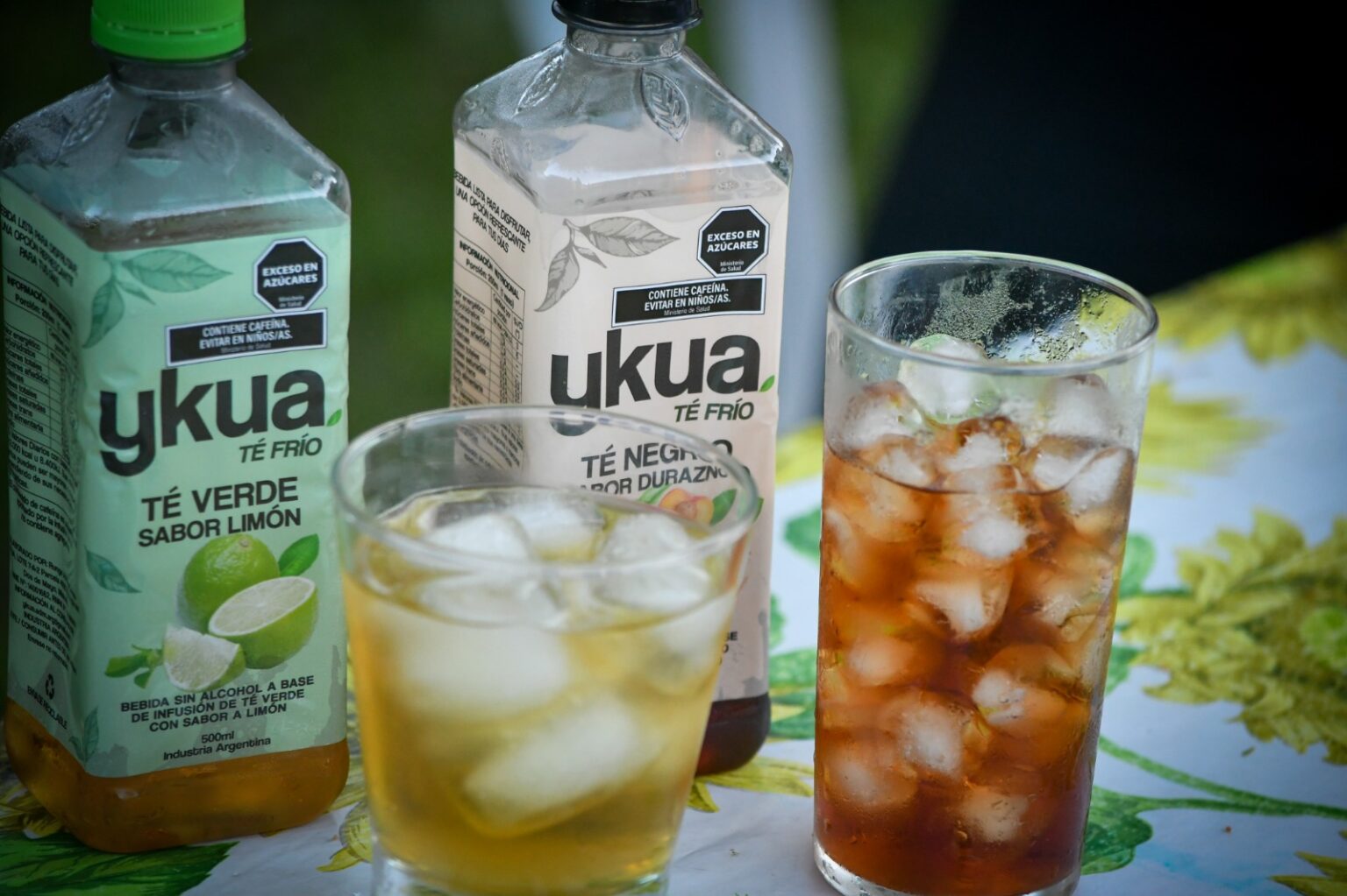 De Misiones al mundo: una emprendedora transforma el té y la yerba mate en infusiones frías listas para beber