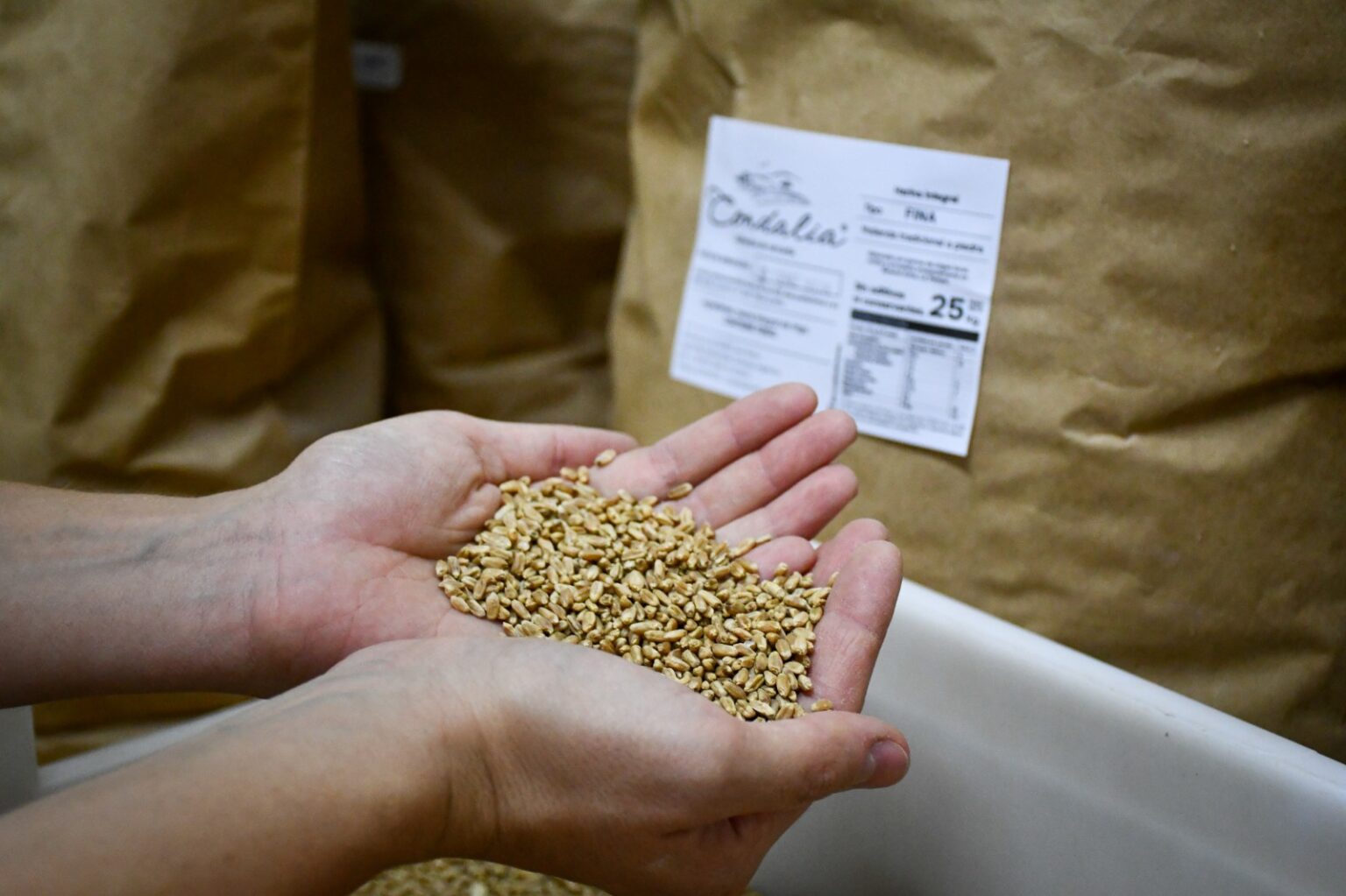 Desde La Pampa al pa&iacute;s: una molienda a piedra impulsa harinas integrales agroecol&oacute;gicas