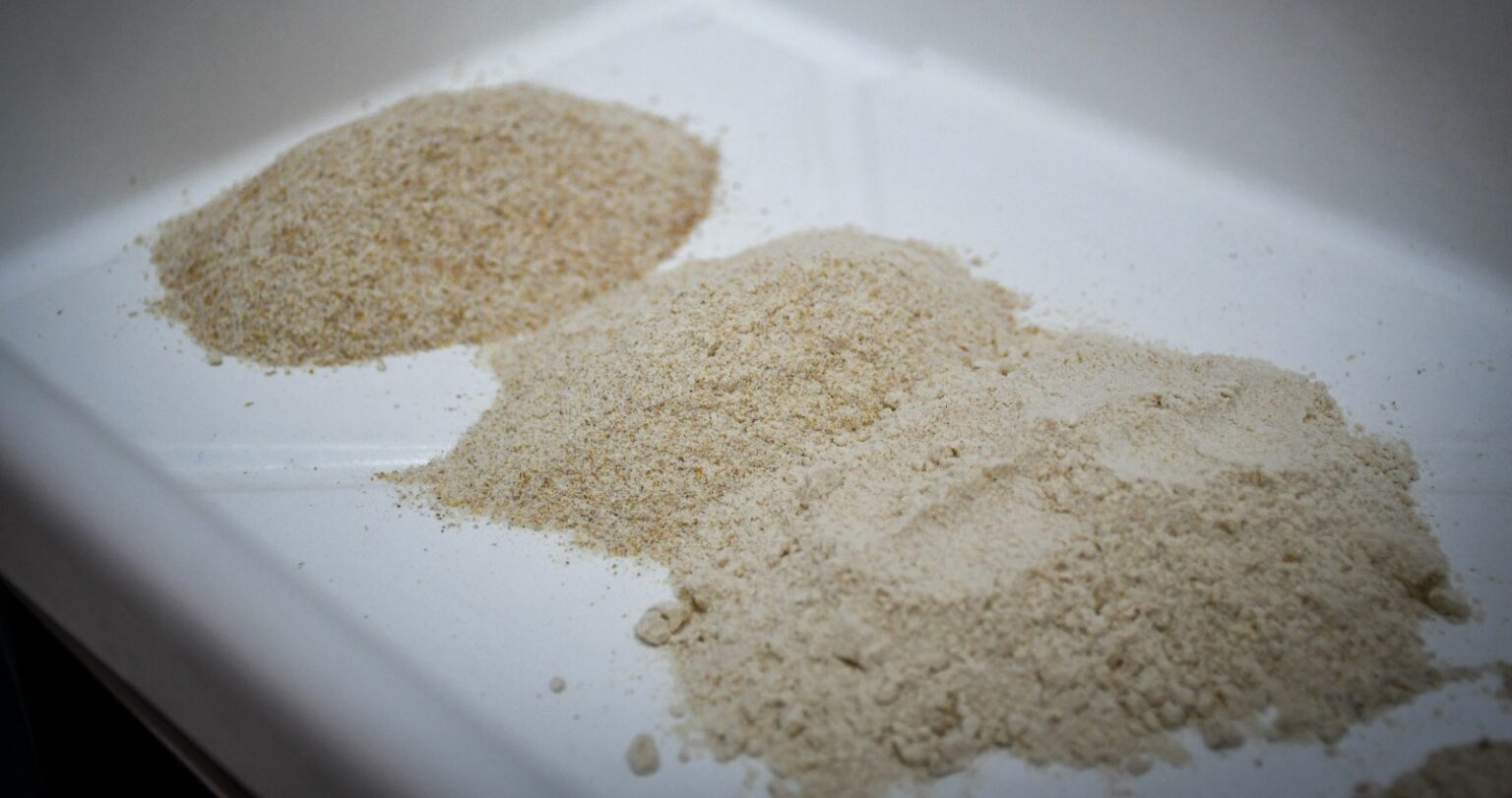 Desde La Pampa al pa&iacute;s: una molienda a piedra impulsa harinas integrales agroecol&oacute;gicas