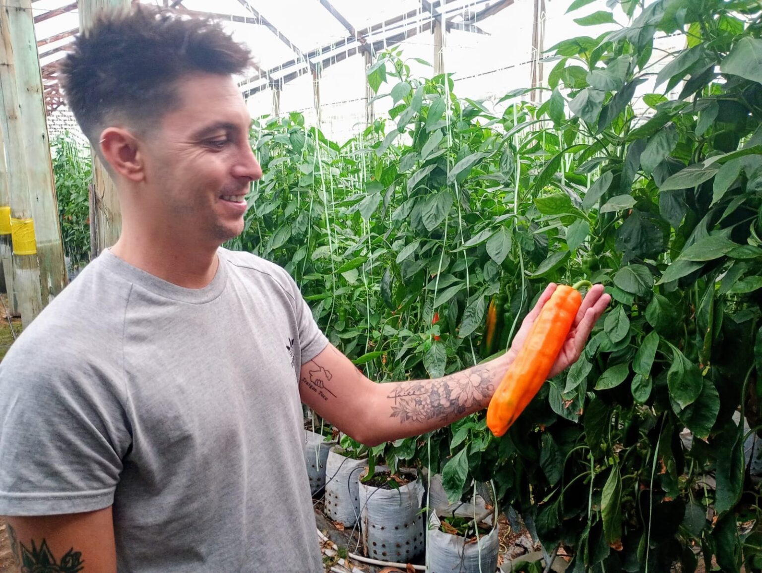 De una huerta familiar a 13 hect&aacute;reas bajo invernadero: c&oacute;mo se consolid&oacute; el mayor polo de hidropon&iacute;a hort&iacute;cola del pa&iacute;s