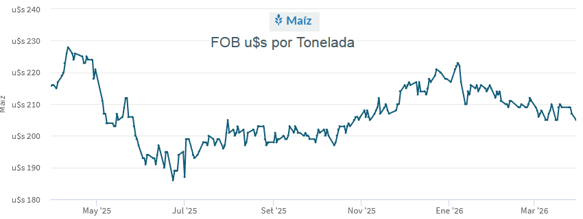 Locura total en el mercado argentino de maíz con embarques récord y precios que siguen dando pelea en plena cosecha