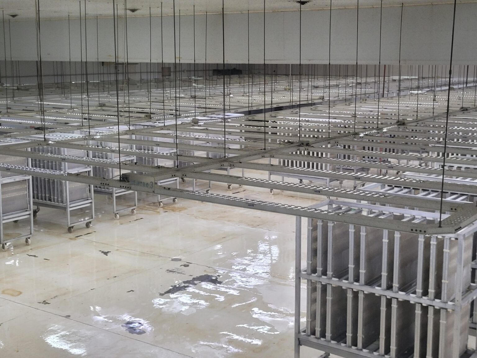 Cereza premium: finca logra certificaci&oacute;n sanitaria in&eacute;dita