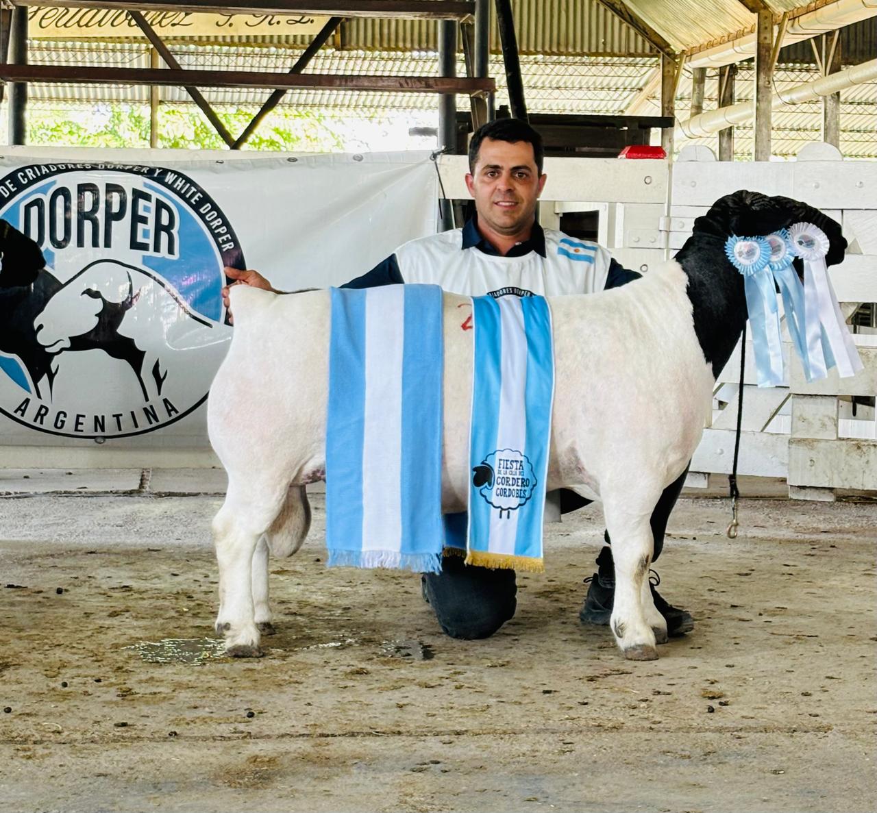 Del campo al consumidor: el auge de la carne ovina