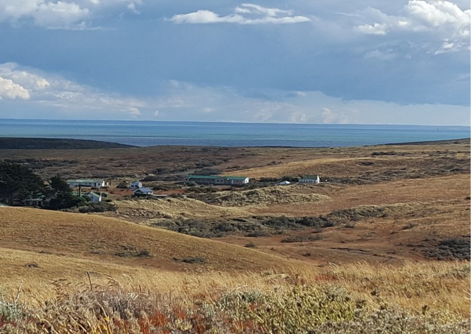 La ganader&iacute;a ovina apuesta al manejo regenerativo para recuperar suelos y sostener productividad en la Patagonia