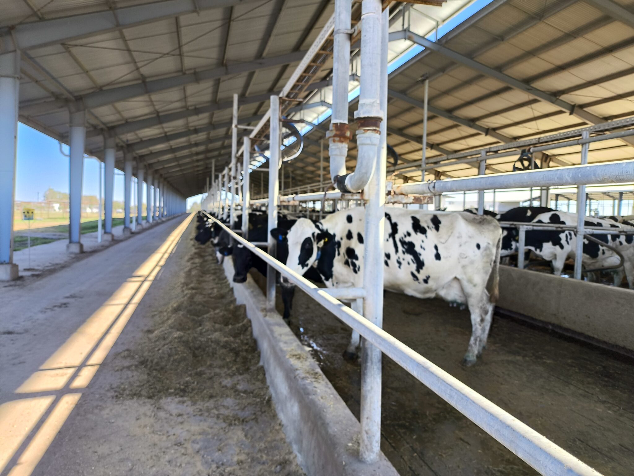Ercole Felippa alert&oacute; por la presi&oacute;n fiscal y cuestion&oacute; el costo de los l&aacute;cteos: &ldquo;Tenemos la leche m&aacute;s barata y los productos m&aacute;s caros&rdquo;
