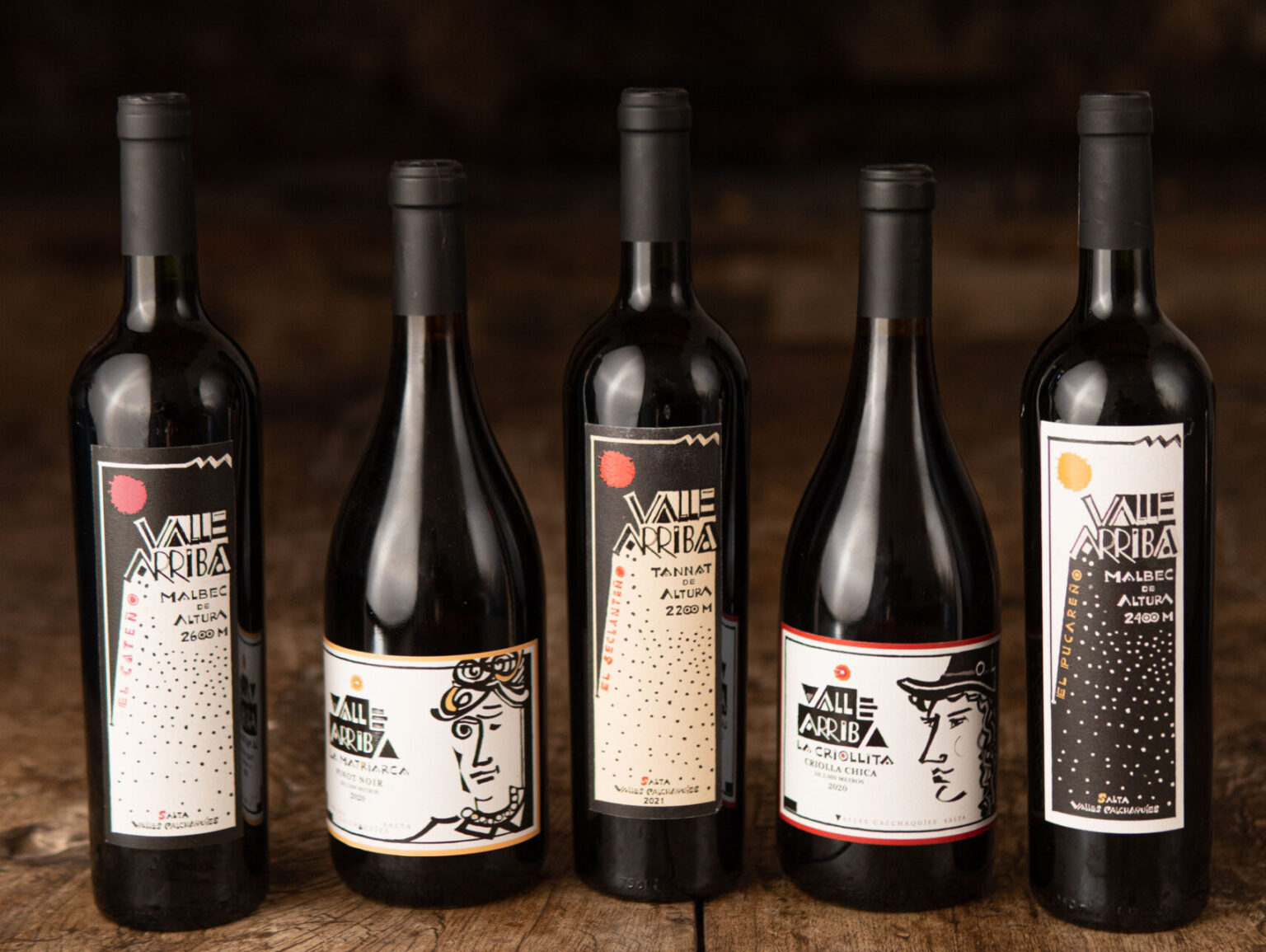De Tacuil a Cachi: el plan para vinos de altura en Salta