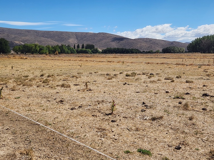 La estancia patag&oacute;nica que abastece de carne a hoteles de lujo