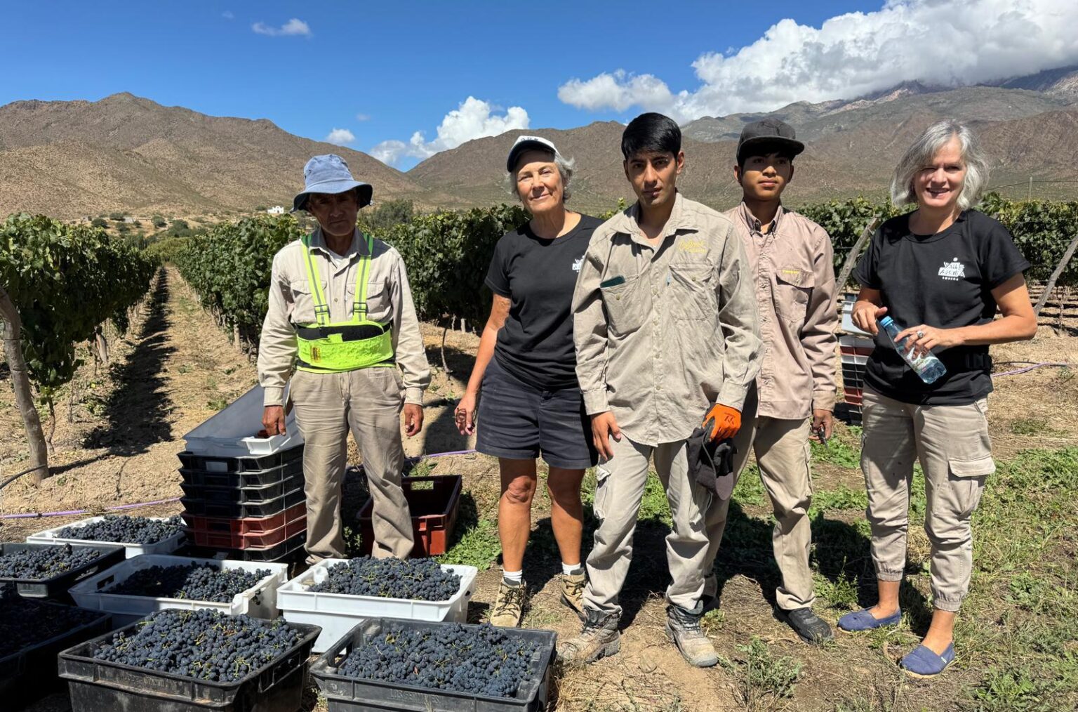 De Tacuil a Cachi: el plan para vinos de altura en Salta