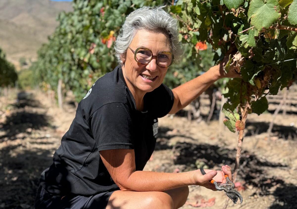 De Tacuil a Cachi: el plan para vinos de altura en Salta