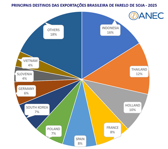 Europa endurece reglas y complica exportaciones del Mercosur