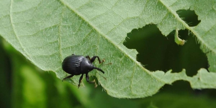 CREATOR: gd-jpeg v1.0 (using IJG JPEG v62), quality = 100