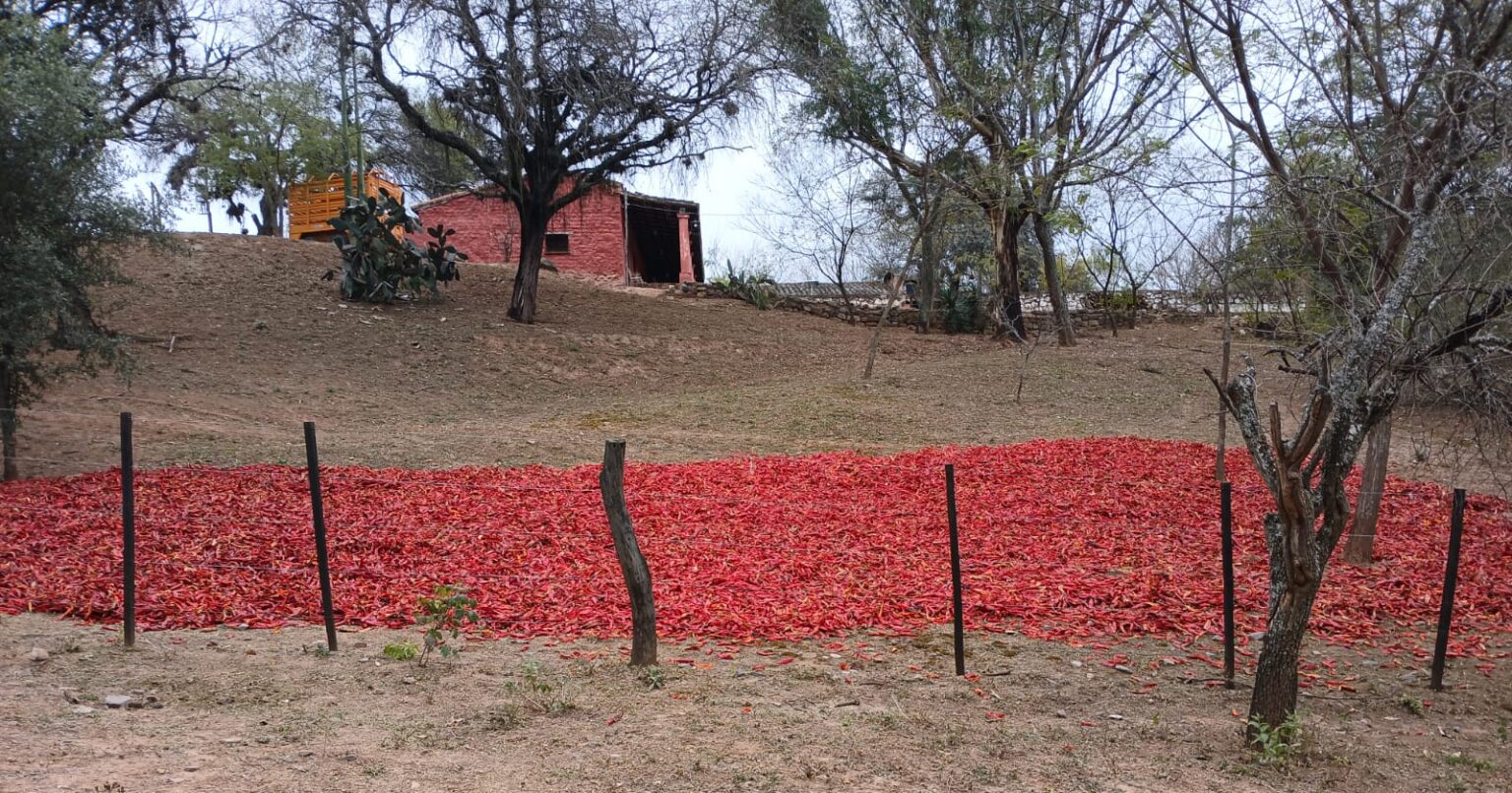 Del campo al molino: el productor que desaf&iacute;a las importaciones