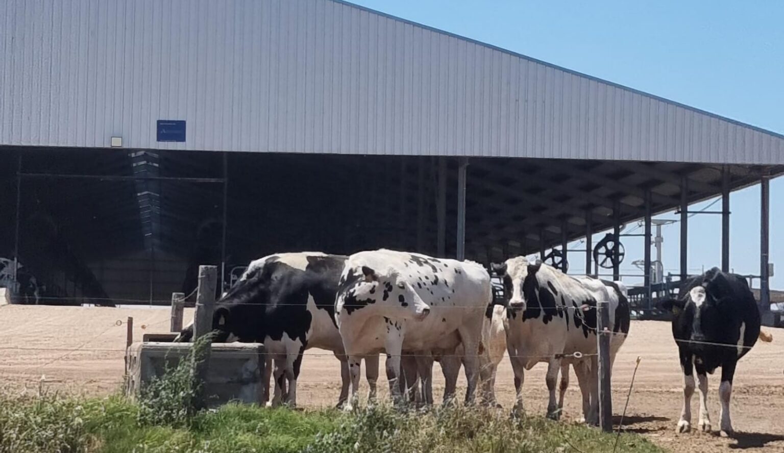 De los toros a los embriones: la evoluci&oacute;n de una caba&ntilde;a pionera