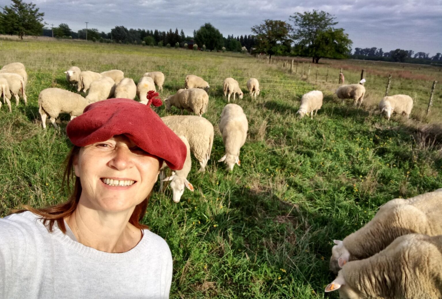 Impulsan el primer relevamiento nacional para definir las carater&iacute;sticas de la leche de oveja en Argentina