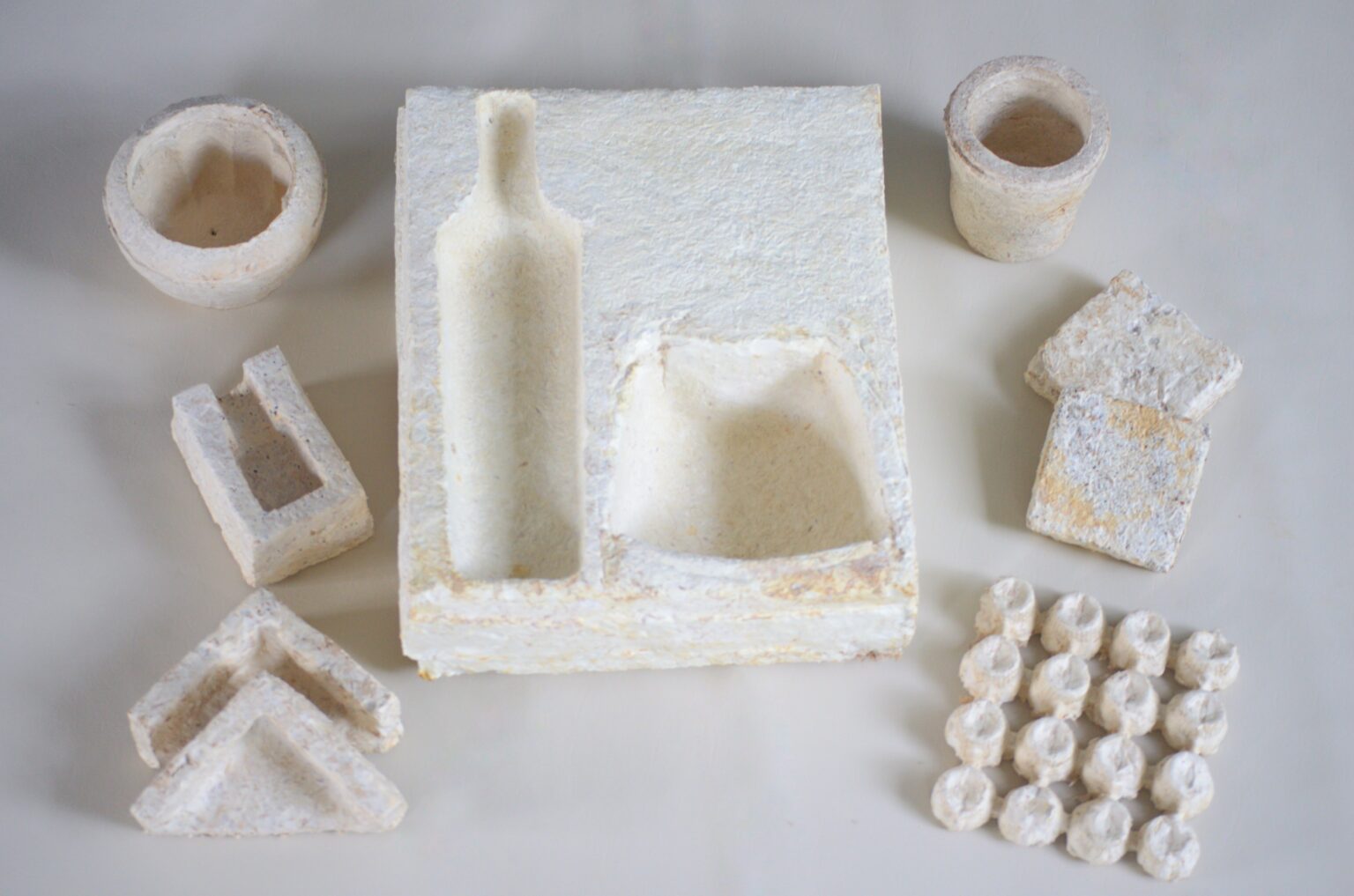 Del campo al packaging: crean envases con hongos en Salta